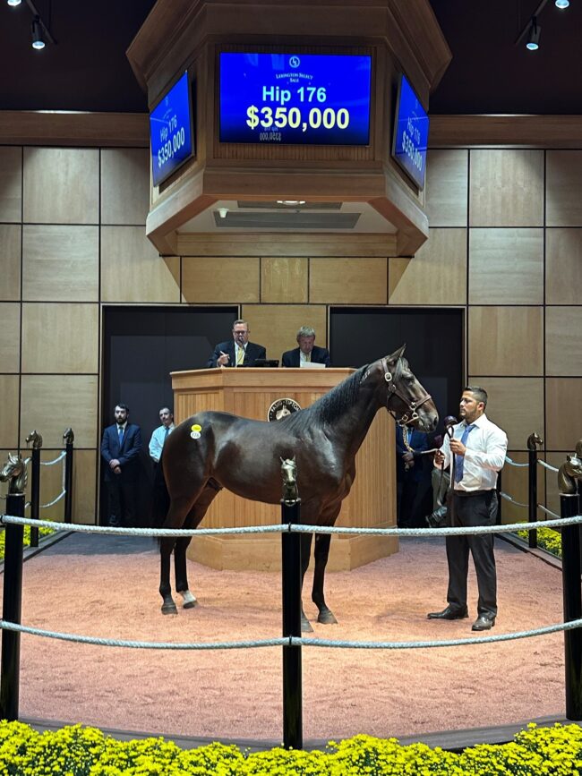 TDS Lexington Phantomofthenight 350K