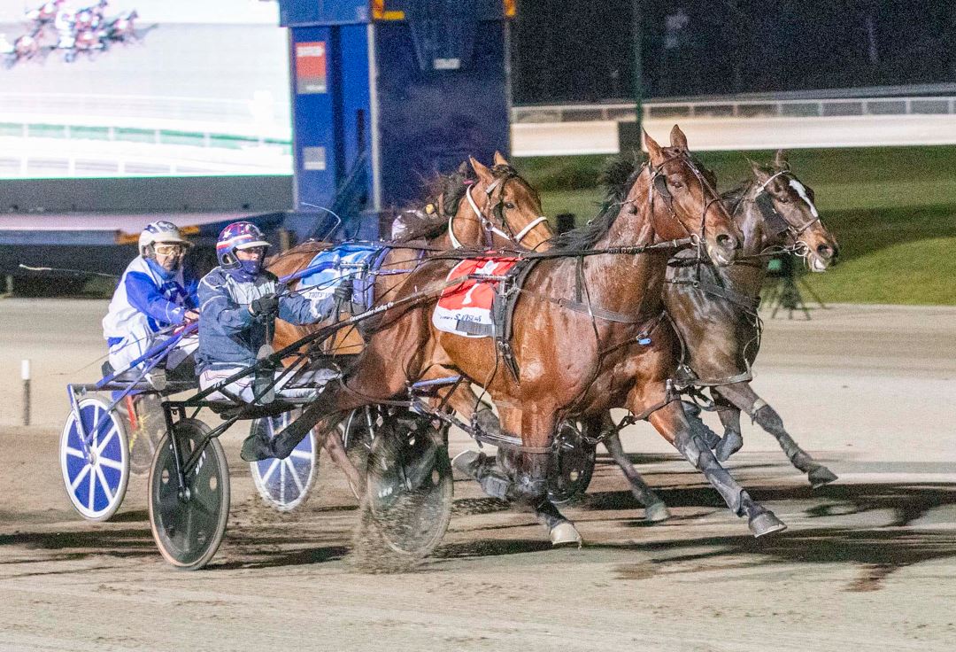 CT Perfect Class Perfect Class