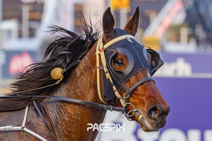 CT Star Lavra PacePix Star Lavra PacePix