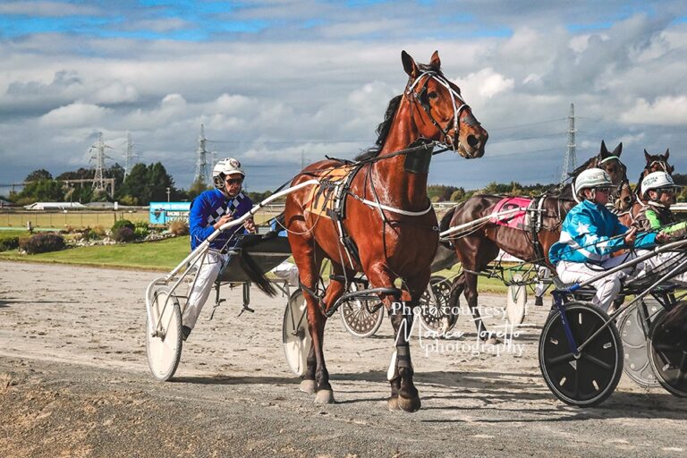 Micaitlin Denario Monica Toretto Photography