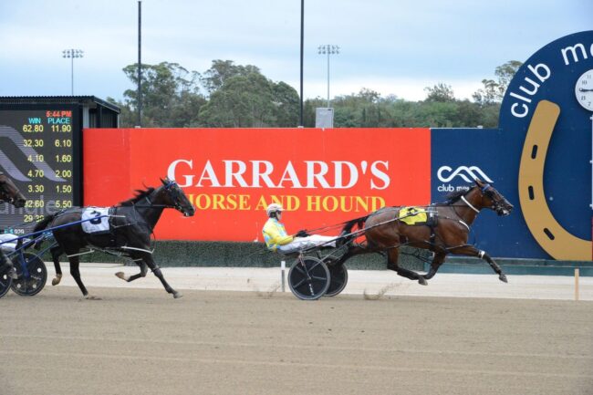 CT Bravo Stride Club Menangle