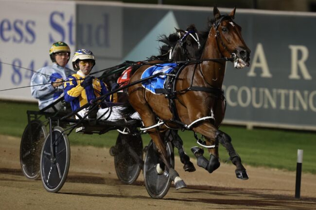 CT Frankie Ferocious Chariots