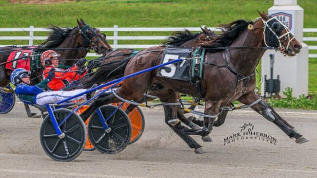 CT COMBUSTION Mark H Herron