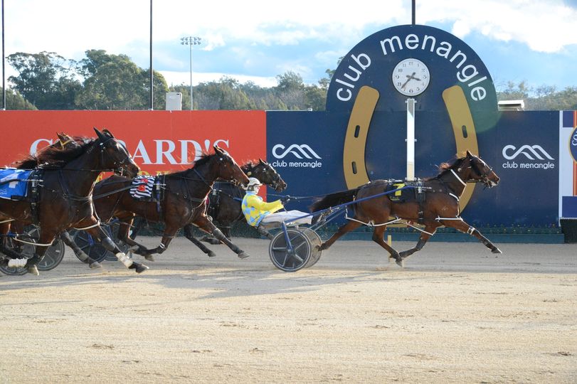 CT Cobalt Stride Club Menangle