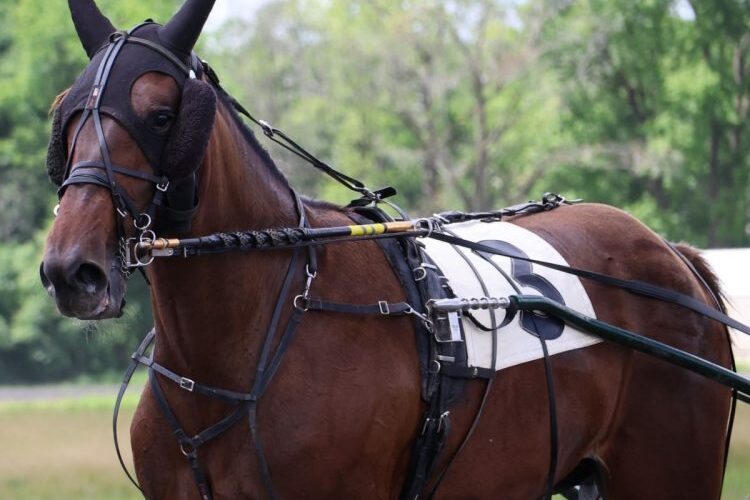 Karma Ken Weingartner Photo