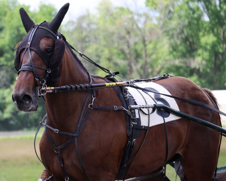 Karma Ken Weingartner Photo