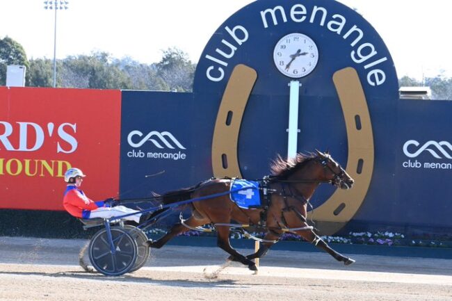 CT My Ultimate Freddie Club Menangle