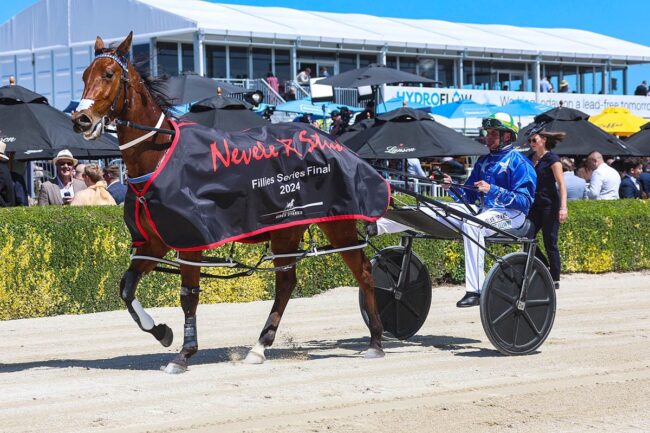 CT Treacherous Baby NZHR