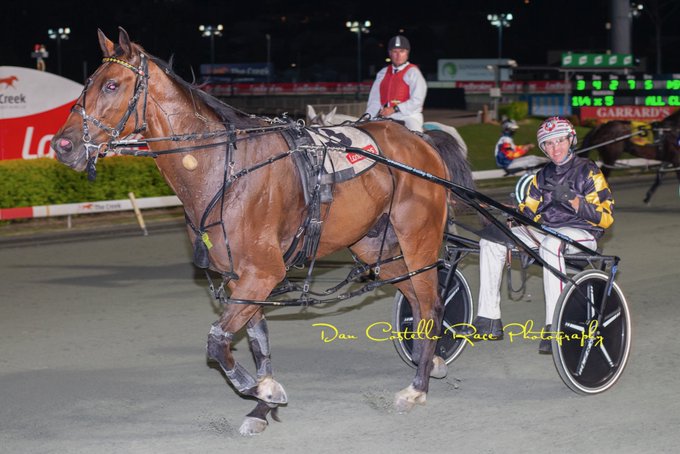 CT Captain Shuffles 1