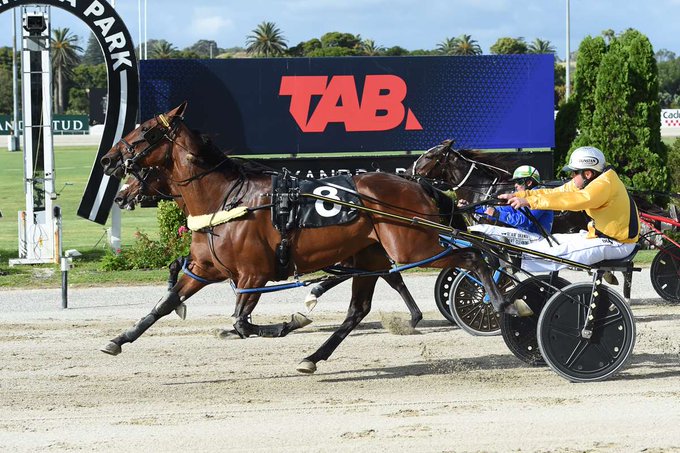 CT Treacherous Gall II