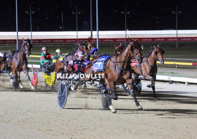 CT Jorge Street TasCup Eliza Howlett Photography