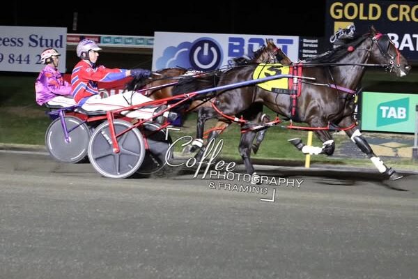 Smooth Buckeroo Coffee Photography