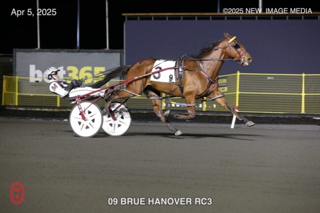 SH Brue Hanover New Image Media