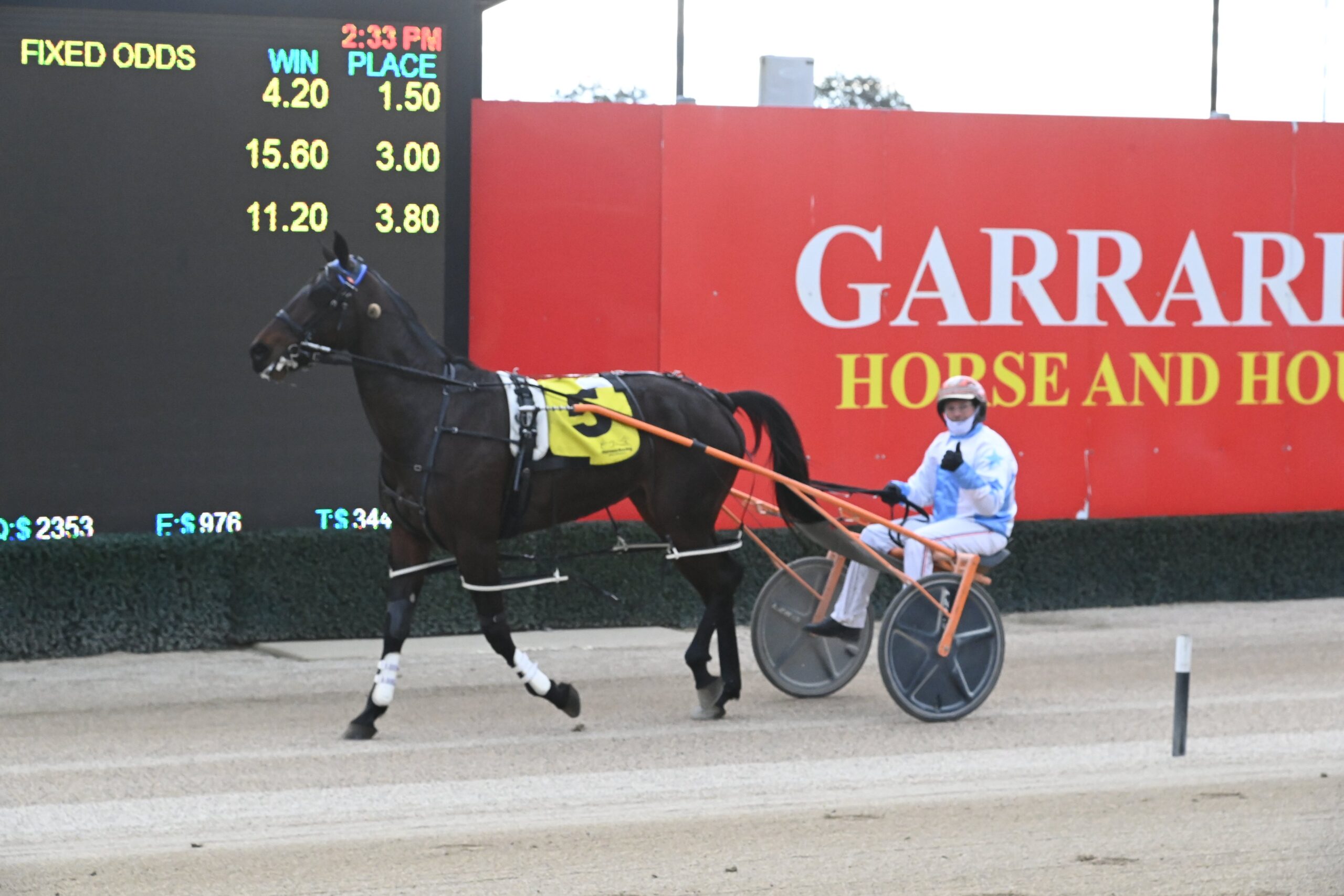 Sapphiresndiamonds Menangle