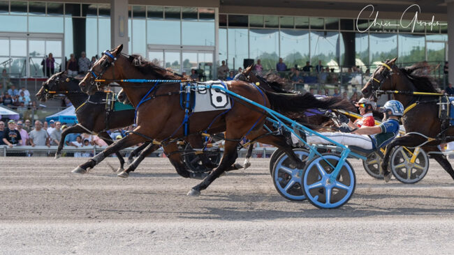 ct prince hal hanover