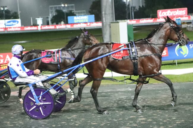 Arrive Qbred