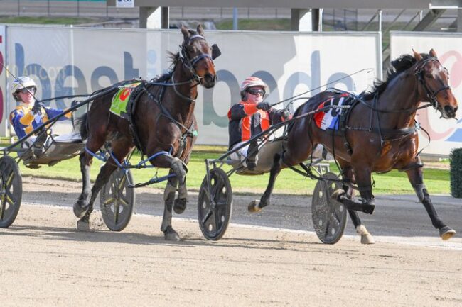 Lochinvar Leader
