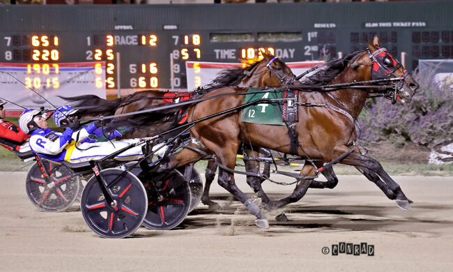 Ervin Hanover
