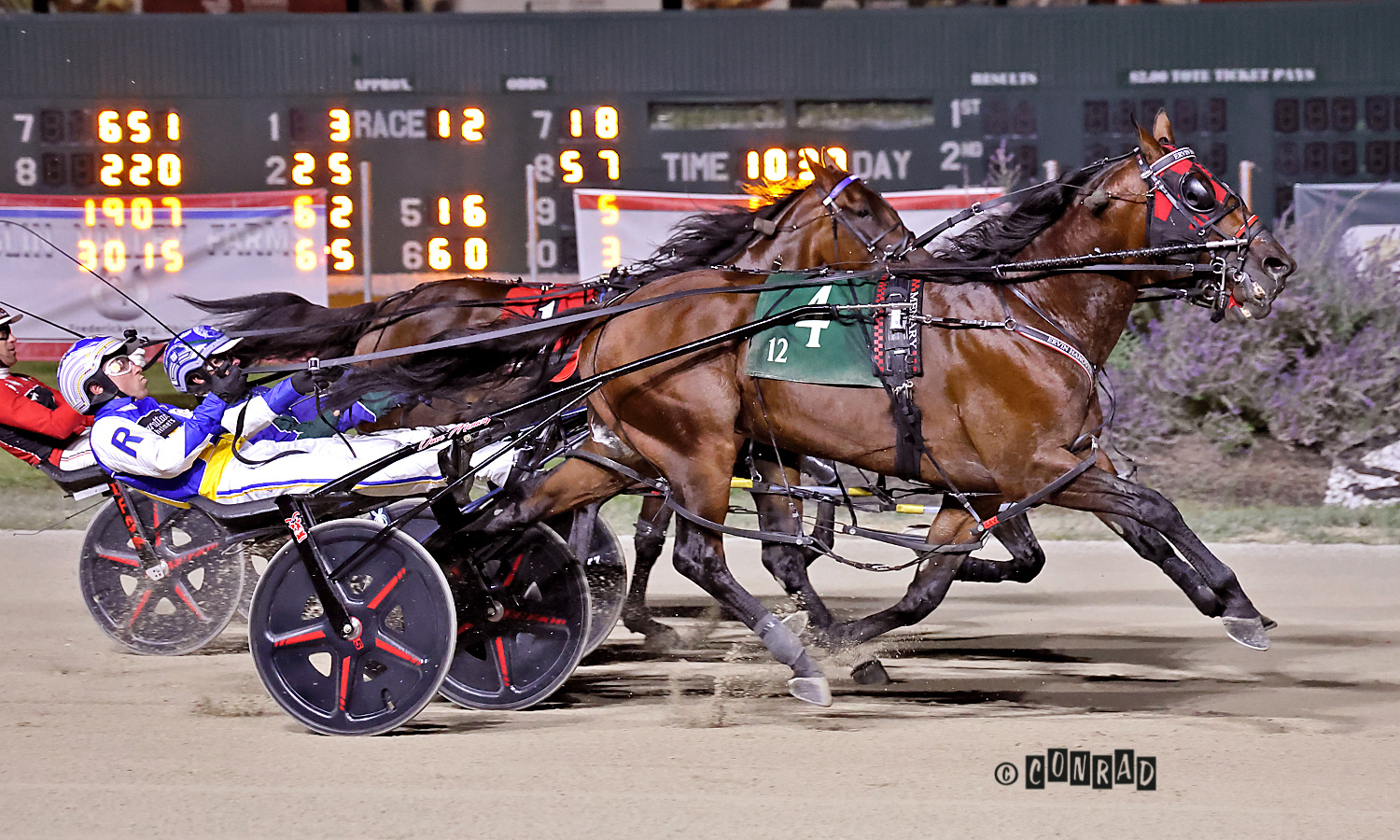 Ervin Hanover