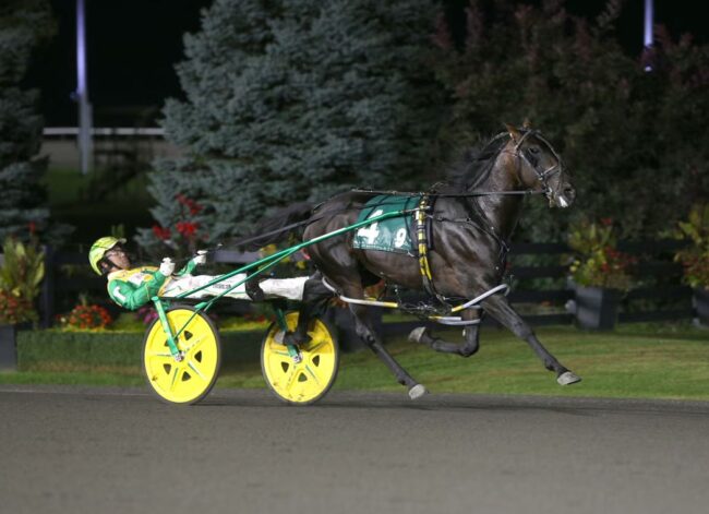 Frantic Hanover WMP