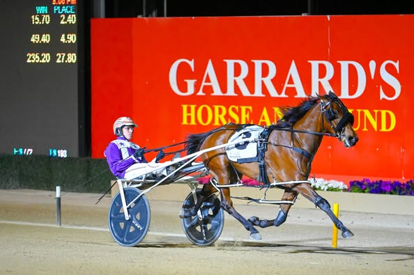 Ark Sea Menangle