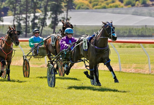 Screenshot 2026-02-24 160815