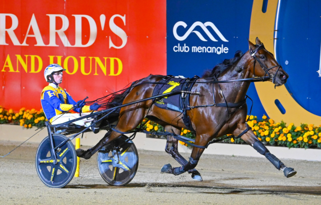 Captains Mistress Menangle Paleface