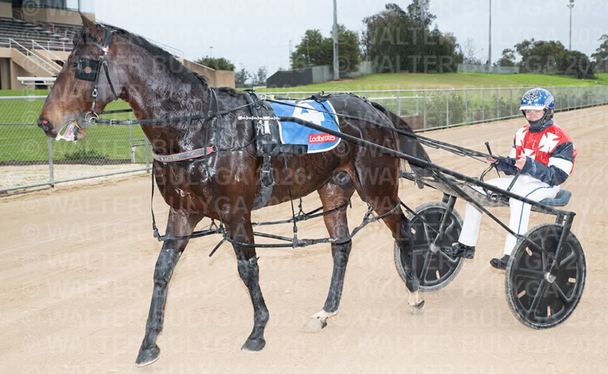 Lochinvar Leader